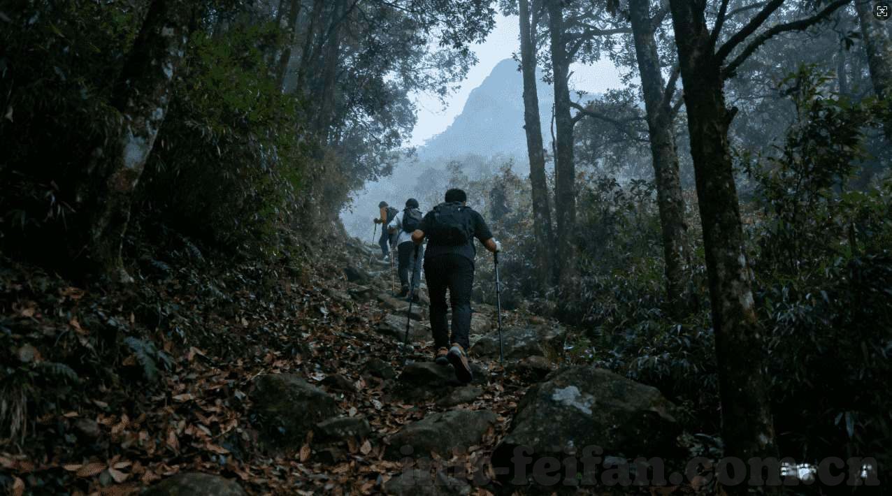 大唐炸金花客服微信-大唐炸金花客服微信，解锁便捷娱乐新方式